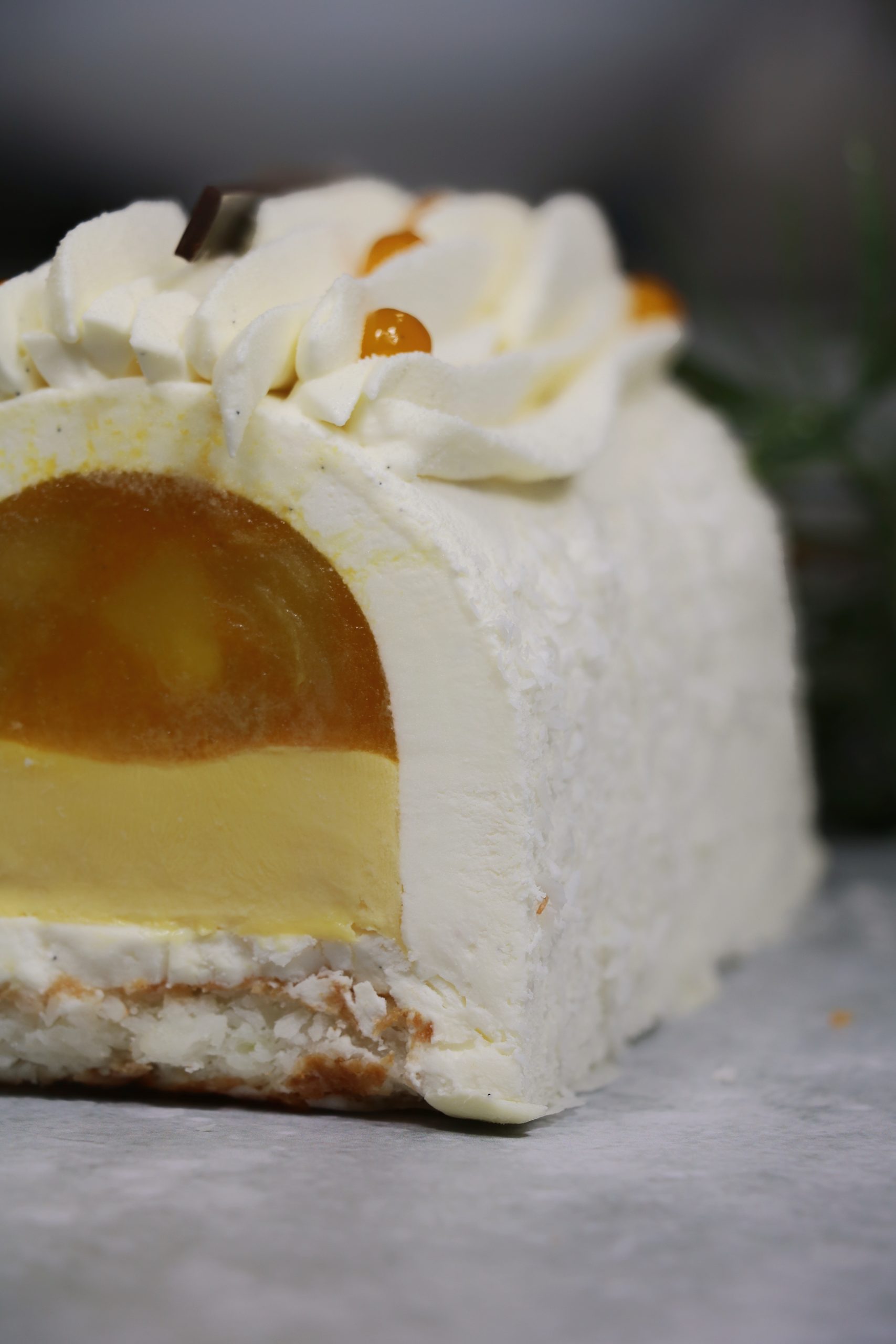 Bûche Exotique – Image 2